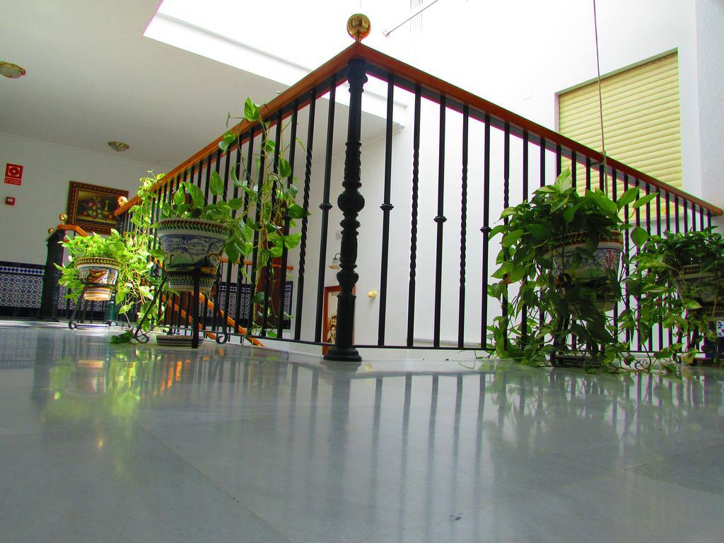 מאירנה דל אלקור Hotel Mairena מראה חיצוני תמונה